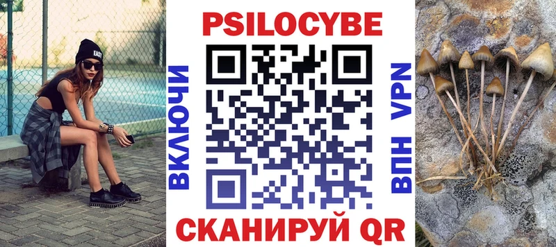 Галлюциногенные грибы Psilocybe  Глазов 