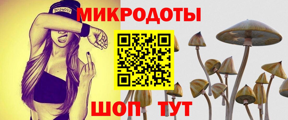Глазов  Галлюциногенные грибы мицелий  купить наркотик  Вход с VPN 